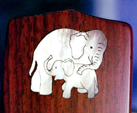 Elephant  Mom
